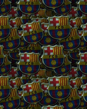 FC Barcelona 24