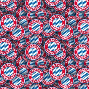 FC Bayern Munchen 22