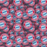 FC-Bayern-MC3BCnchen-22.jpg