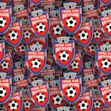FC-Botosani.jpg