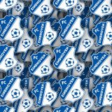 FC-Eindhoven.jpg