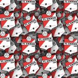 FC-Emmen-VV.jpg