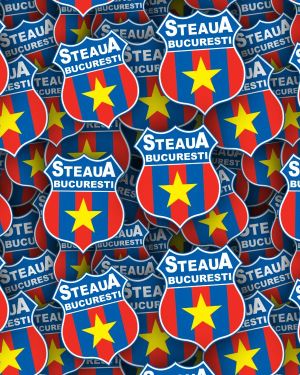 FC FCSB