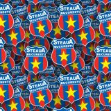 FC-FCSB.jpg
