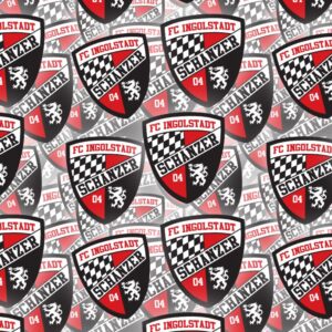 FC Ingolstadt 04