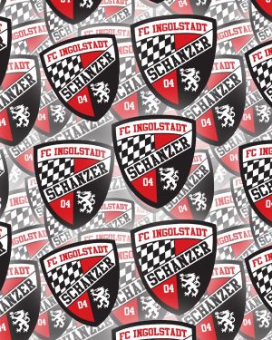 FC Ingolstadt 04