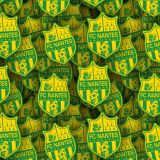 FC-Nantes.jpg