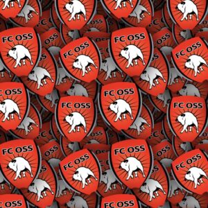 FC Oss