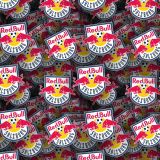 FC-Salzburg.jpg