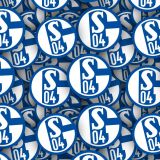 FC-Schalke-04.jpg