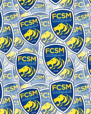 FC Sochaux-Montbeliard