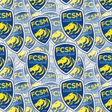FC-Sochaux-Montbeliard.jpg