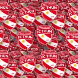 FC-Thun.jpg