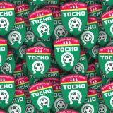 FC-Tosno.jpg