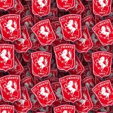 FC-Twente.jpg