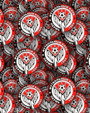FK Amkar Perm