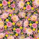 Fairy-Flowers.jpg