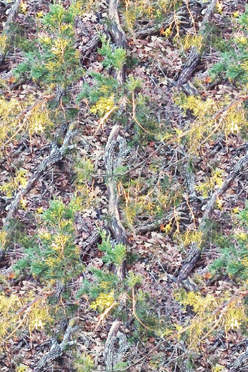 Fall Camouflage