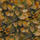 Fall-Foliage-Camo-thumb.jpg