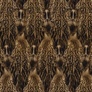 Featherflage
