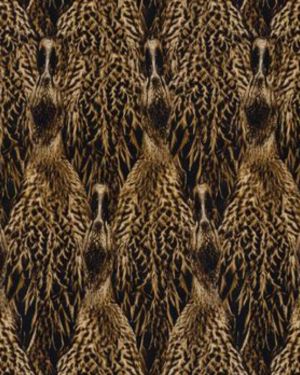 Featherflage