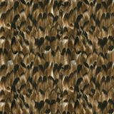 Feathers-21.jpg