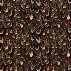 Feathers 22