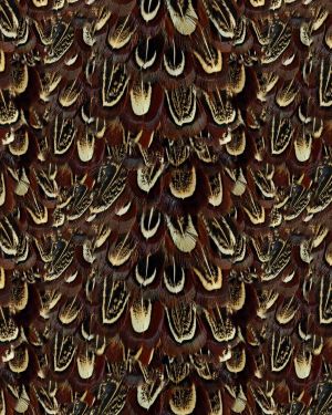 Feathers 22