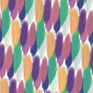 Feathers 25