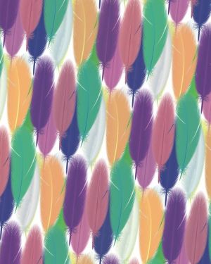 Feathers 25