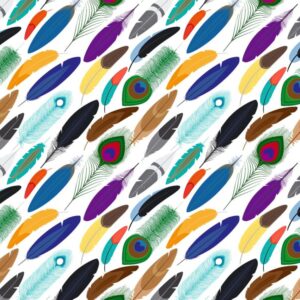 Feathers 26