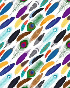 Feathers 26