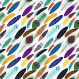 Feathers-26.jpg