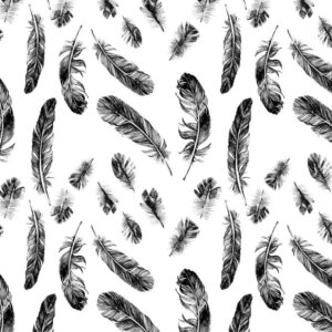 Feathers 27