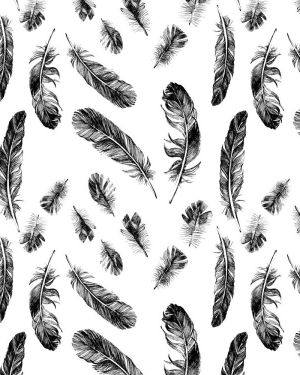 Feathers 27
