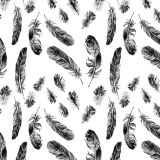 Feathers-27.jpg