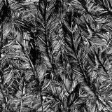 Feathers-28-thumb.jpg