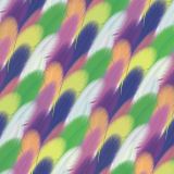 Feathers-29.jpg