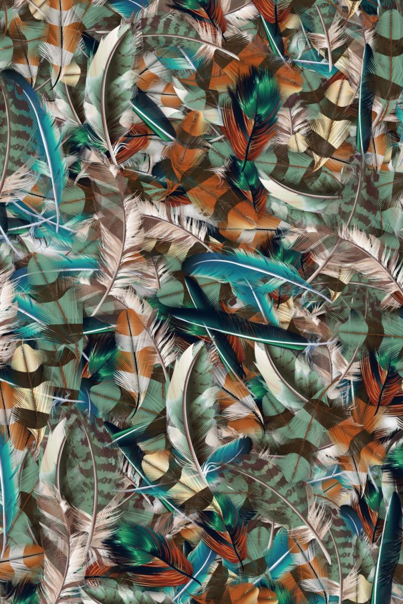 Feathers 30