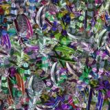 Feathers-31.jpg