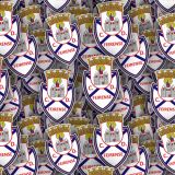 Feirense.jpg