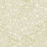 Fender-Pearloid-25.jpg
