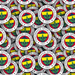 Fenerbahce