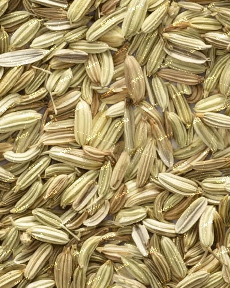 Fennel Seeds 22