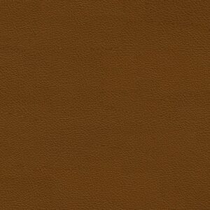 Fine Grained Brown Leather