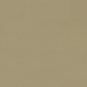 Fine Grained Tan Leather