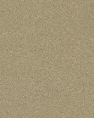 Fine Grained Tan Leather