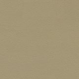 Fine-Grained-Tan-Leather-thumb.jpg