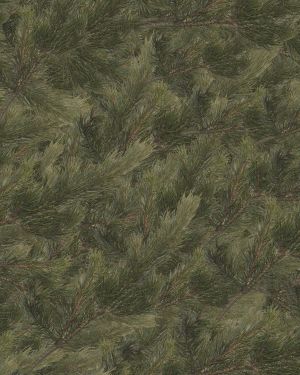 Fir Background