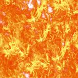 Fire-22-thumb.jpg
